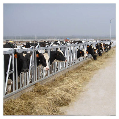 1.2m/Cow επικεφαλής κλειδαριά αγελάδων