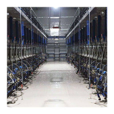 Πνευματικά αναλογία 60/40 Drive μικρής κλίμακας αρμέγοντας αίθουσα για το γαλακτοκομικό αγρόκτημα