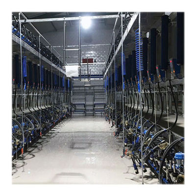 Πνευματικά αναλογία 60/40 Drive μικρής κλίμακας αρμέγοντας αίθουσα για το γαλακτοκομικό αγρόκτημα
