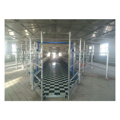 11kw κενά αρμέγοντας συστήματα αιθουσών 3800L παράλληλα 128 αγελάδες ανά ώρες