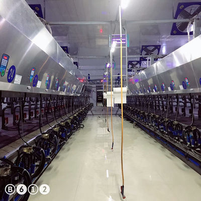 11kw κενά αρμέγοντας συστήματα αιθουσών 3800L παράλληλα 128 αγελάδες ανά ώρες