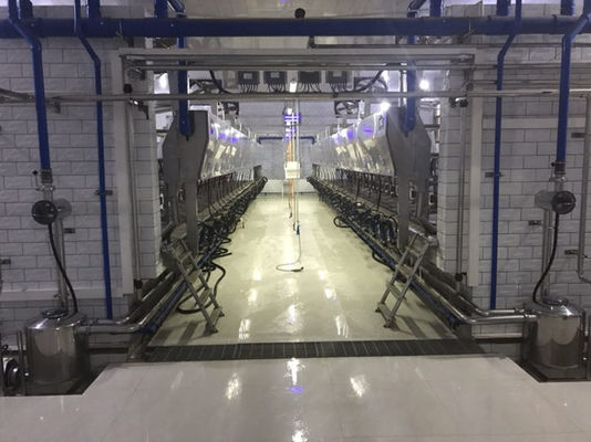 11kw κενά αρμέγοντας συστήματα αιθουσών 3800L παράλληλα 128 αγελάδες ανά ώρες