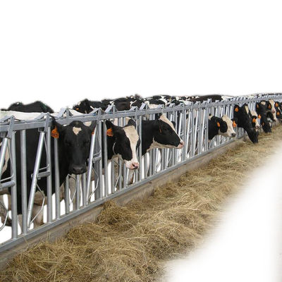 1.2m/Cow επικεφαλής κλειδαριά αγελάδων