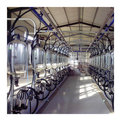 24-100 point Cow High Efficient Dairy Milking Parlor Dairy Farm Machine