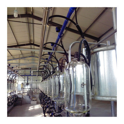 24-100 point Cow High Efficient Dairy Milking Parlor Dairy Farm Machine