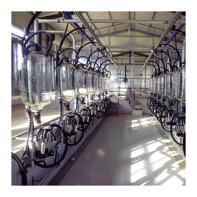 24-100 point Cow High Efficient Dairy Milking Parlor Dairy Farm Machine