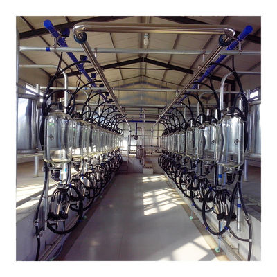 24-100 point Cow High Efficient Dairy Milking Parlor Dairy Farm Machine